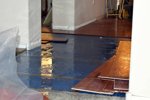 Professional Basement Flood Cleanup technician working in Lynwood, IL